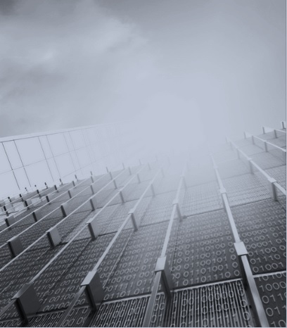 Mobile & Web Development Solutions